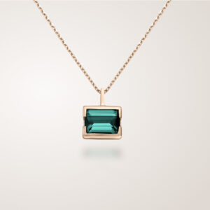 Collier Amazona, or jaune